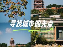 -铁山坪森林公园