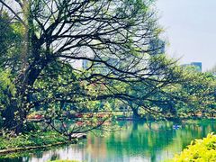 -晓港公园