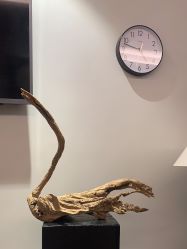 -花隐瑜伽·普拉提·红绳