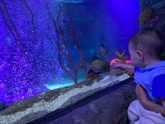 -沈阳海洋探索中心