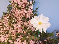 -皇城恒隆广场