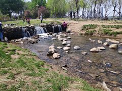 -长白岛森林公园