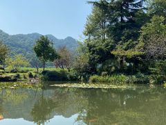 -中国茶叶博物馆(双峰馆区)