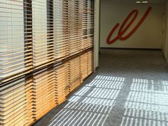 -健身专家Wellness Experts