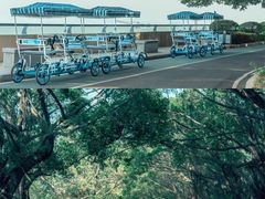 -大湾区中央湿地公园
