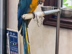 -观桥阁(锦溪店)