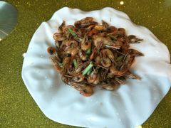 -扬州狮子楼·非遗淮扬菜(总店)