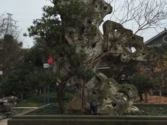 -老幺泉水鸡