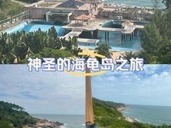 -广东惠东海龟国家级自然保护区