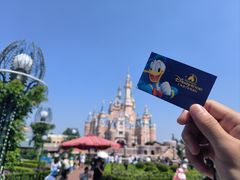 -上海迪士尼度假区