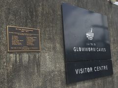 -怀托摩萤火虫洞