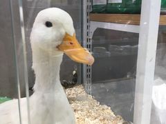 -狗道宠物(常熟印象城店)