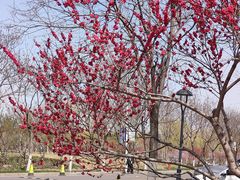 -南开大学(津南校区)