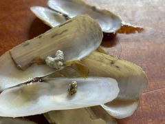 -巴哈面店(沈家门西大街店)