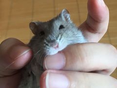 -雨林宠物医院 非犬猫异宠专科