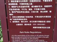 -成都市活水公园