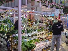 -吾悦广场(天津和平店)