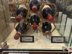 -维也纳国际机场