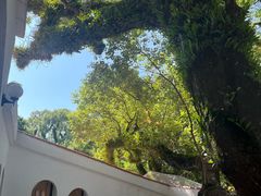 -澳门圣地牙哥古堡酒店