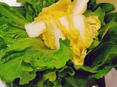 -古乐牛香·鲜牛肉牛杂火锅(新区店)