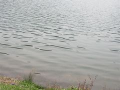 -石燕湖生态旅游景区