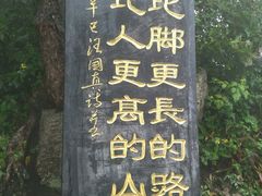 -洛阳白云山景区