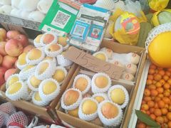 -重振华中蔬菜批发市场(重庆中路店)