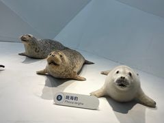 -青岛海底世界-水族馆