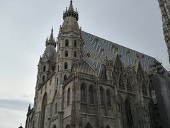 -斯蒂芬主教座堂(Stephansdom)