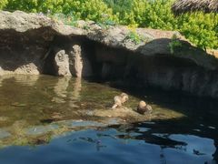 -北京野生动物园