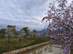 -坝光海滩