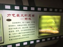 -上海昆虫博物馆