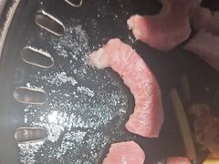 -杨小佳·齐齐哈尔烤肉·烤串(广州店)