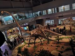 -自贡恐龙博物馆