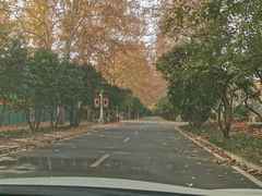 -河南省黄河迎宾馆