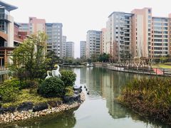 -梧桐人家中国太平国际健康颐养社区