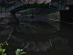 -花溪风景区