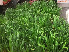 -细村农贸综合市场