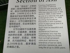 -苏州河梦清园环保主题公园