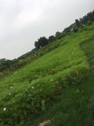 -圣露庄园·草坪婚礼·宴会厅·会议
