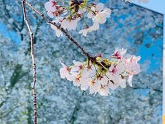 -龙美术馆(西岸馆)