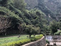 -宁波五龙潭景区