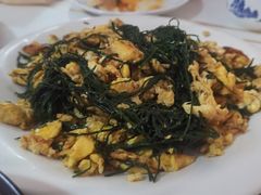-煲来饱去冷水鱼