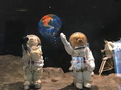 -济州岛泰迪熊博物馆