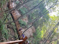 -大岭沟猕猴桃谷风景区