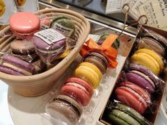 -多乐之日(五道口店)