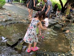 -成都市活水公园