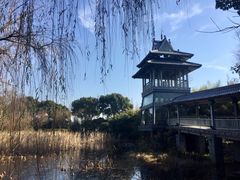 -金鸡湖桃花岛
