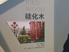 -长江文明馆