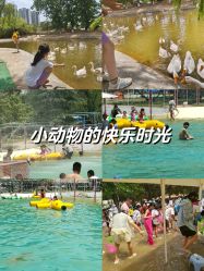 -上美四季动物农场